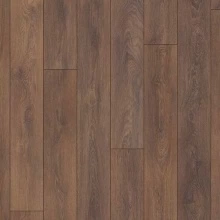 ДУБ КОФЕЙНЫЙ